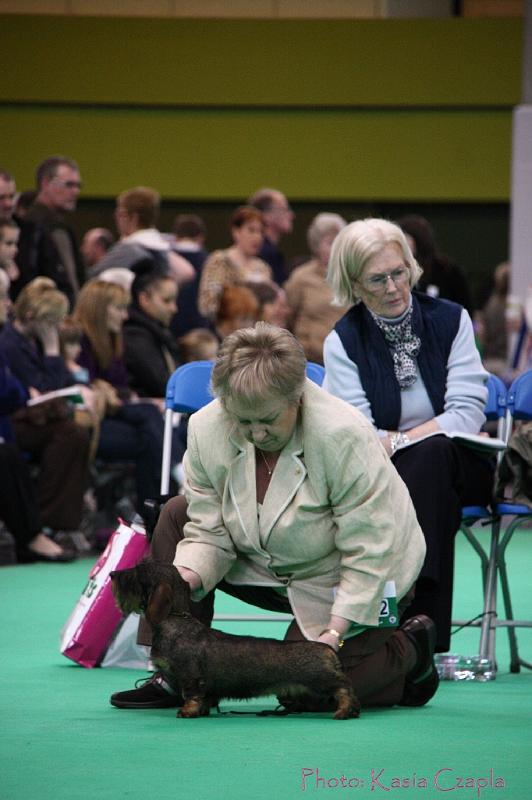 Crufts2011_2 1090.jpg